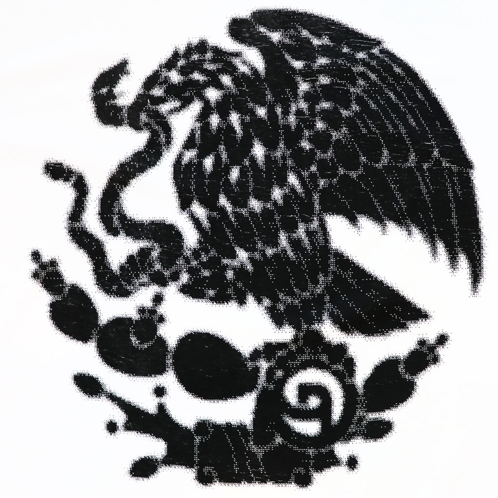 ORRO FC BLUR WHITE TEE (Black Eagle)