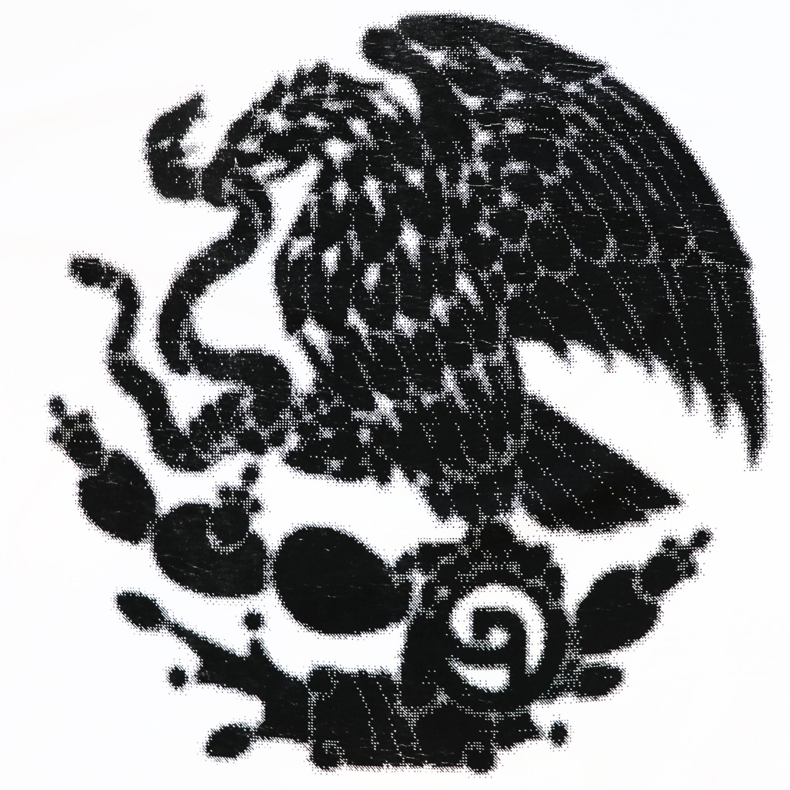 ORRO FC BLUR WHITE TEE (Black Eagle)