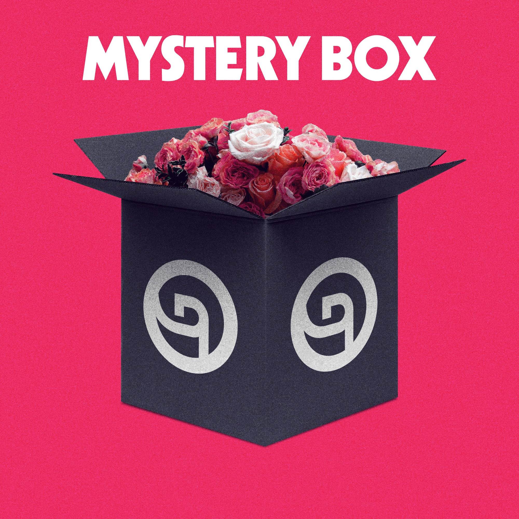 $100 Mystery Box